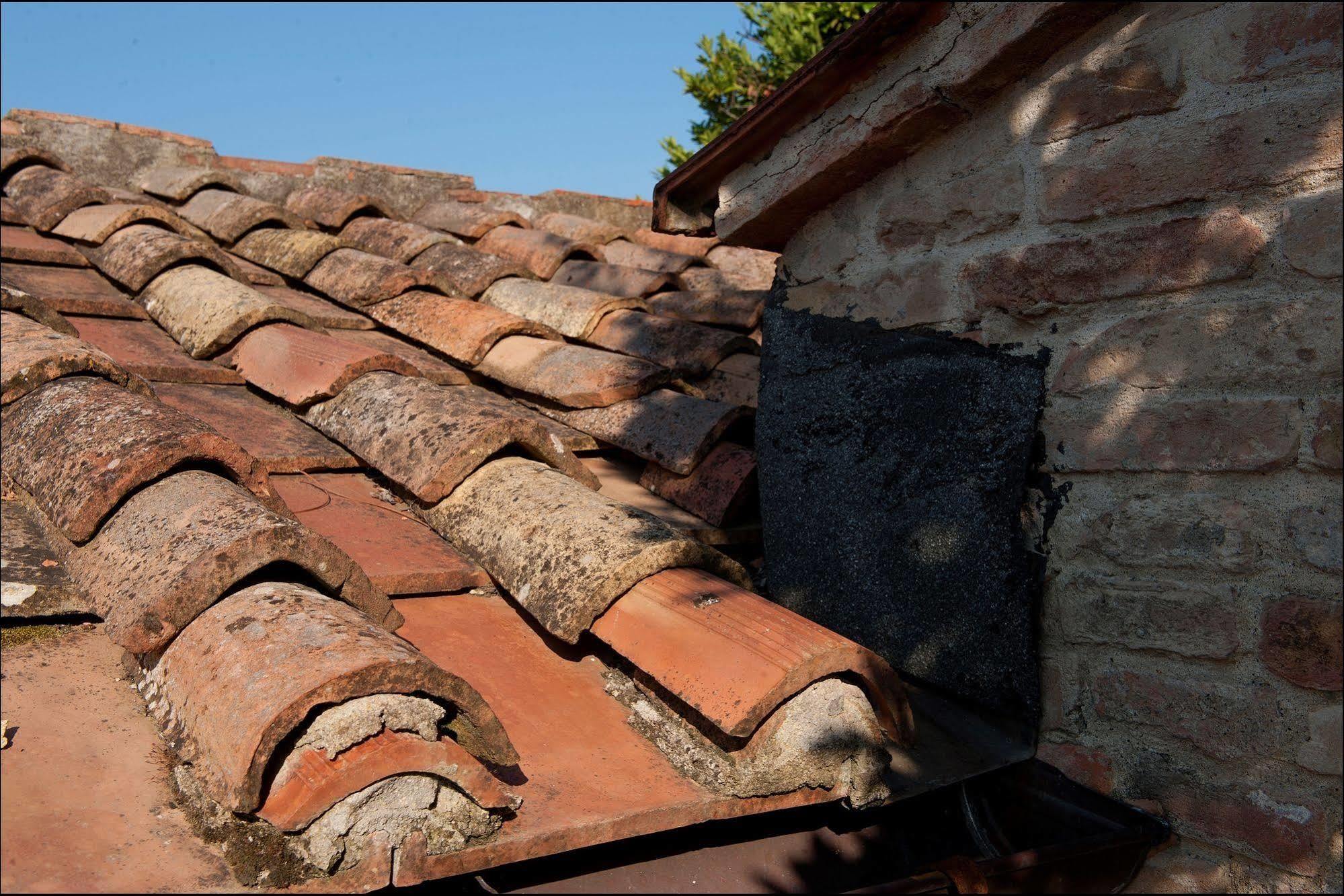 B&B Casale Virgili Siena Bagian luar foto