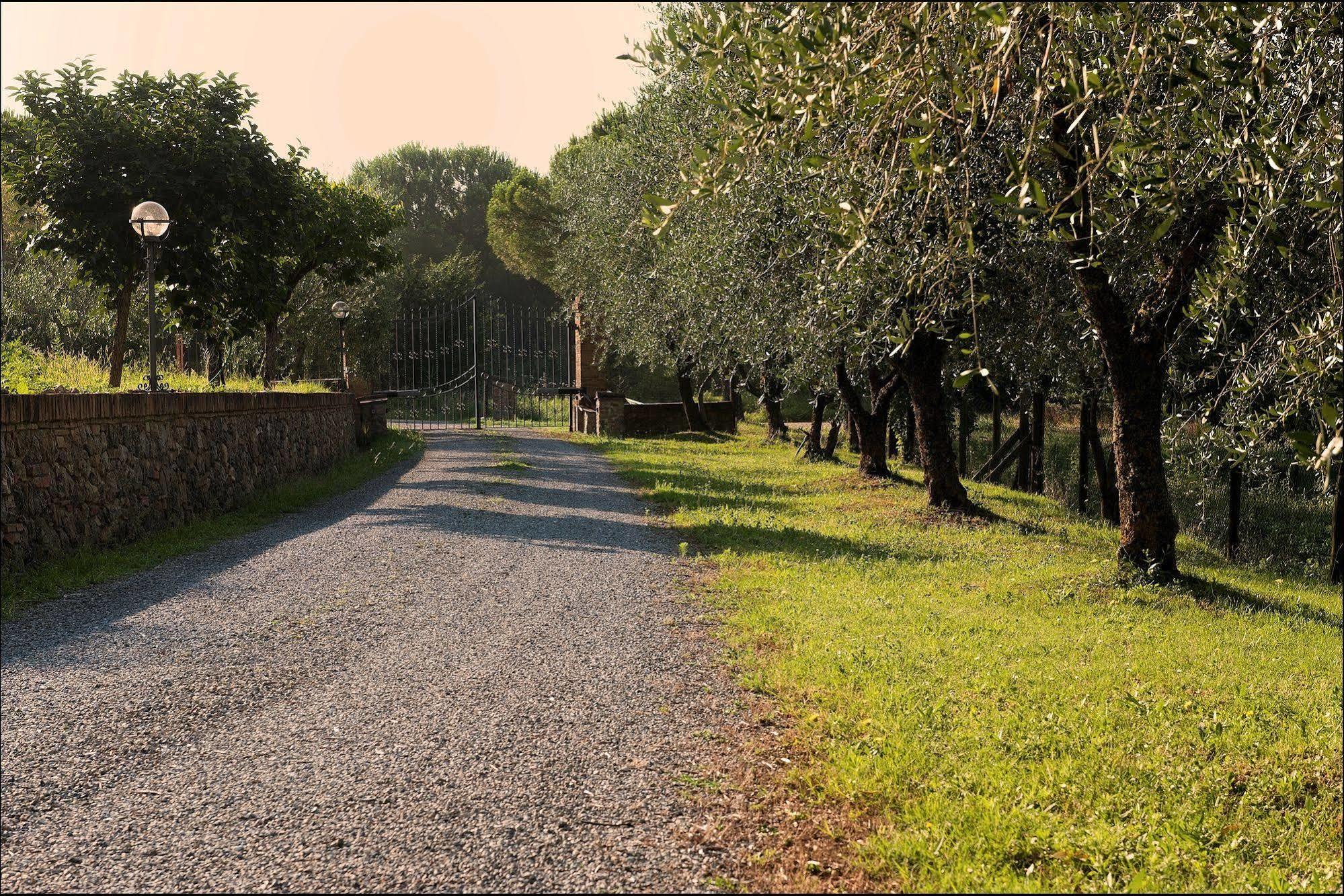 B&B Casale Virgili Siena Bagian luar foto